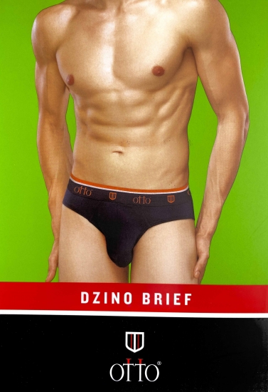 Dzino-Brief